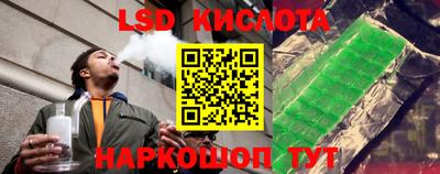 шишки Свободный