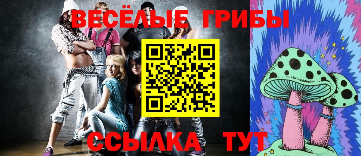 Норильск  Псилоцибиновые грибы прущие грибы  Вход с VPN 